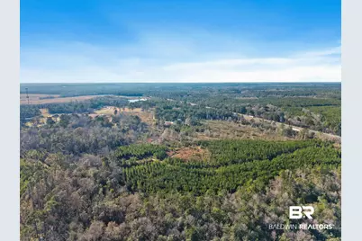 55750 Lottie Road, Perdido, AL 36562 - Photo 2