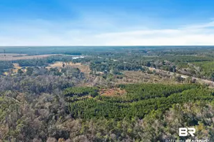 55750 Lottie Rd, Perdido, AL 36562 - Photo 2