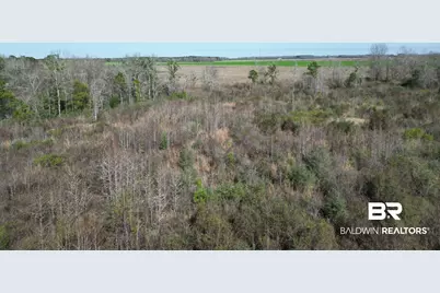 5400 Blk Rockaway Creek Road, McDavid, FL 32568 - Photo 8