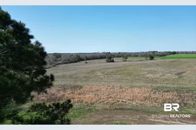 5400 Blk Rockaway Creek Road, McDavid, FL 32568 - Photo 12