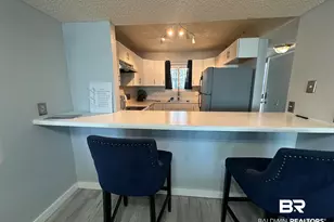 14100 River Rd, Perdido Key, FL 32507 - Photo 42