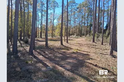 10116 Bayhaven Drive, Fairhope, AL 36532 - Photo 8