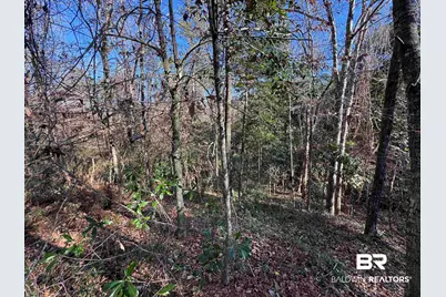 0 Bugle Retreat, Spanish Fort, AL 36527 - Photo 2