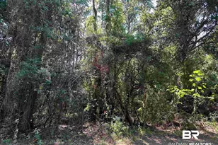 108 Glen Hardie Dr, Fairhope, AL 36532 - Photo 1