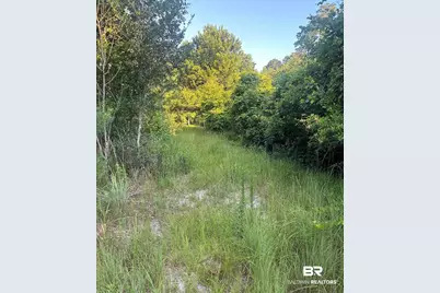 0 Nolte Creek Drive, Foley, AL 35635 - Photo 2