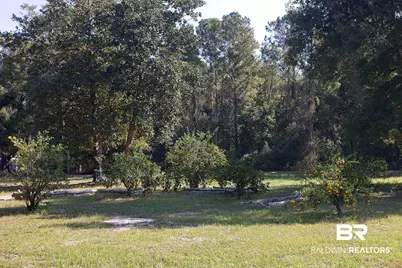 13555 Nolte Creek Drive, Foley, AL 36535 - Photo 16
