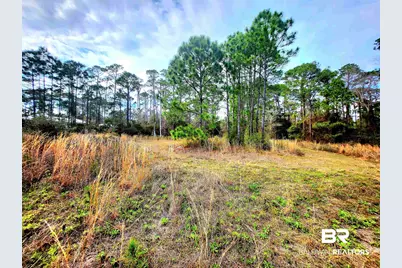 15640 Fort Morgan Highway, Gulf Shores, AL 36542 - Photo 12