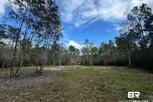 51235 Phillipsville Rd, Bay Minette, AL 36507 - Photo 54