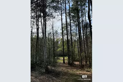 51235 Phillipsville Road, Bay Minette, AL 36507 - Photo 52