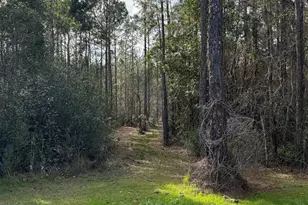 51235 Phillipsville Rd, Bay Minette, AL 36507 - Photo 52
