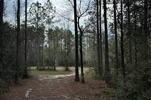 51235 Phillipsville Rd, Bay Minette, AL 36507 - Photo 54