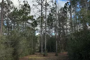 51235 Phillipsville Rd, Bay Minette, AL 36507 - Photo 60
