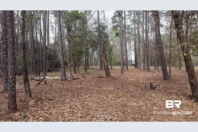0 Wolf Bay Drive, Foley, AL 36535 - Photo 22
