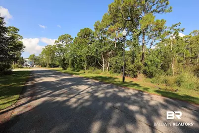 0 SE Bayou Drive, Orange Beach, AL 36561 - Photo 4
