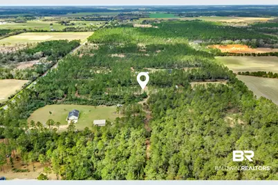 0 Gardner Road, Elberta, AL 36530 - Photo 6