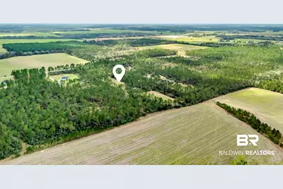 0 Gardner Road, Elberta, AL 36530 - Photo 10
