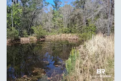 43053 State Highway 225, Bay Minette, AL 36507 - Photo 34