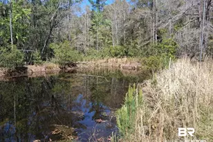 43053 State Hwy 225, Bay Minette, AL 36507 - Photo 34