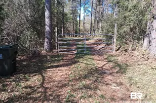 43053 State Hwy 225, Bay Minette, AL 36507 - Photo 2