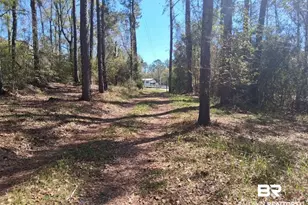 43053 State Hwy 225, Bay Minette, AL 36507 - Photo 4