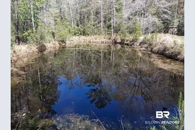 43053 State Highway 225, Bay Minette, AL 36507 - Photo 32