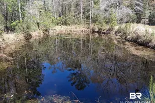 43053 State Hwy 225, Bay Minette, AL 36507 - Photo 32