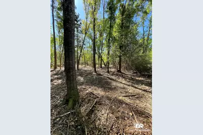 435 Cee Bee Street, Robertsdale, AL 36567 - Photo 4