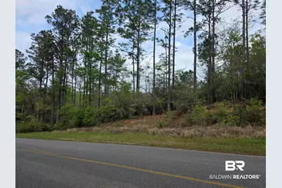 12185 Red Hill Rd Extension, Bay Minette, AL 36507 - Photo 6