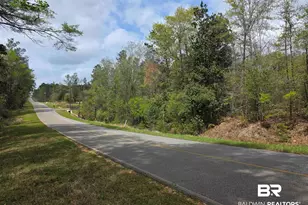 12185 Red Hill Rd Ext, Bay Minette, AL 36507 - Photo 1