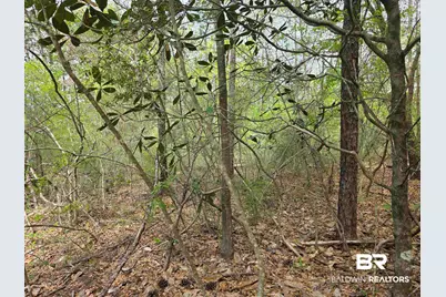 12287 Red Hill Rd Extension, Bay Minette, AL 36507 - Photo 2