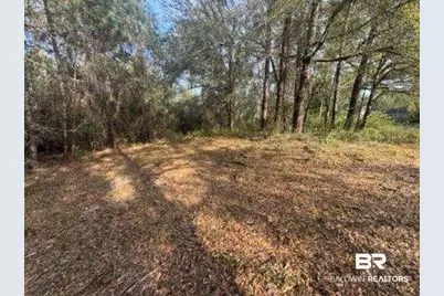 0 Delta Woods Drive, Bay Minette, AL 36507 - Photo 6