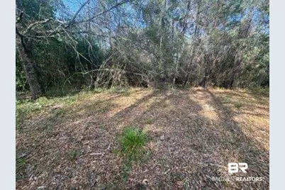 0 Delta Woods Drive, Bay Minette, AL 36507 - Photo 4