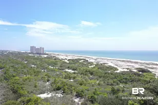 400 Plantation Rd, Gulf Shores, AL 36542 - Photo 36