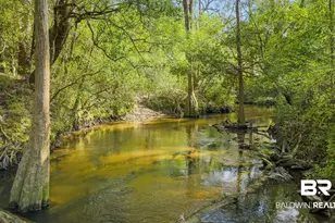 22800 River Rd, Daphne, AL 36526 - Photo 6