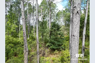 8200 Blk Grimes Road, Century, FL 32535 - Photo 8