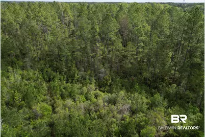 8200 Blk Grimes Road, Century, FL 32535 - Photo 14