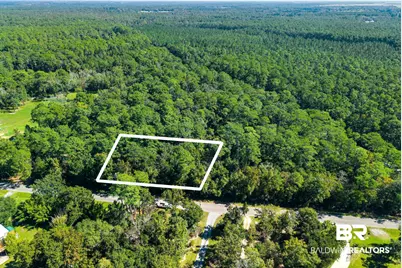 0 Beach Road, Foley, AL 36535 - Photo 6