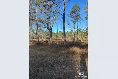 50945 US Highway 31, Bay Minette, AL 36507 - Photo 6