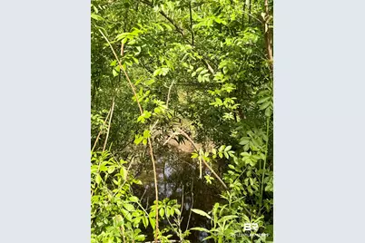 19160 County Road 68, Robertsdale, AL 36567 - Photo 14