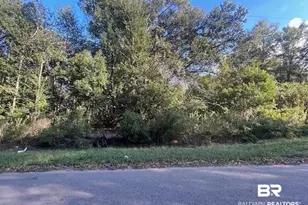 0 New Era Rd, Fairhope, AL 36532 - Photo 1