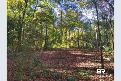 0 New Era Road, Fairhope, AL 36532 - Photo 16