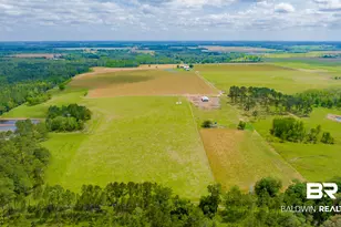 24795A County Road 32, Elberta, AL 36530 - Photo 52