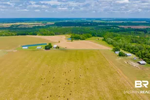 24795A County Road 32, Elberta, AL 36530 - Photo 44