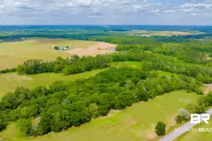 24795A County Road 32, Elberta, AL 36530 - Photo 40