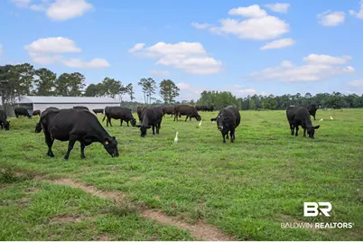 24795A County Road 32, Elberta, AL 36530 - Photo 66