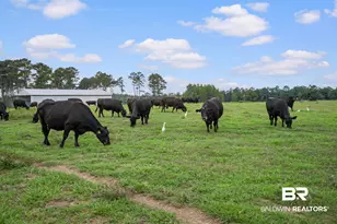 24795A County Road 32, Elberta, AL 36530 - Photo 66