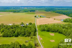 24795A County Road 32, Elberta, AL 36530 - Photo 38