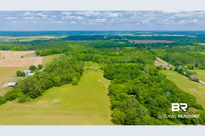 24795A County Road 32, Elberta, AL 36530 - Photo 42