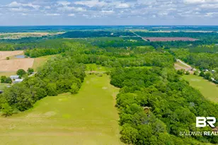 24795A County Road 32, Elberta, AL 36530 - Photo 42