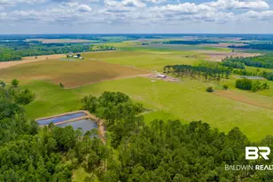 24795A County Road 32, Elberta, AL 36530 - Photo 54